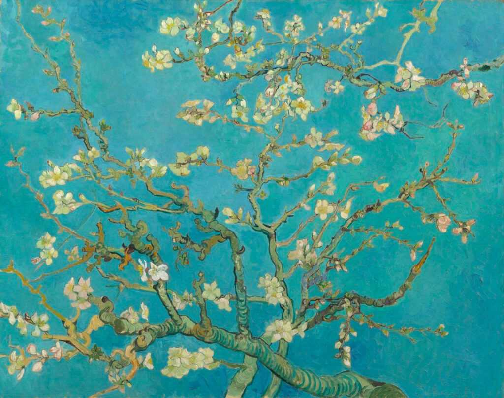 Almond Blossom - Vincent Van Gogh